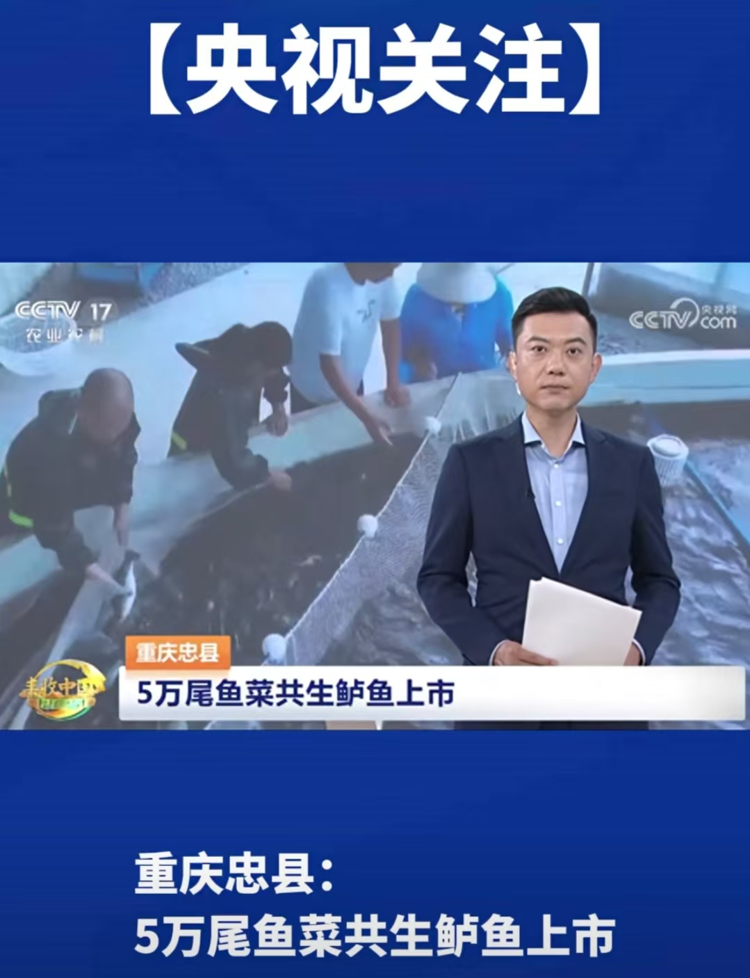 upload/2025/09/638943034129563064.png upload/2025/09/638943034129563064.png