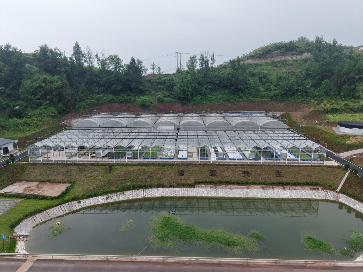 upload/2025/09/638943034240129516.png upload/2025/09/638943034240129516.png